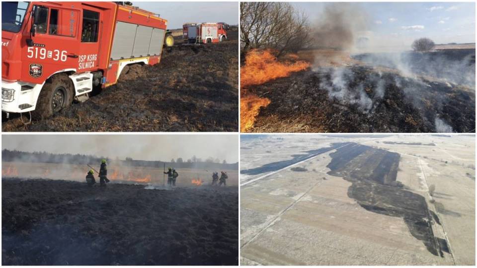 Ogromny pożar w Wojnowicach! Ogień strawił 24 hektary, strażacy grzęźli w trudnym terenie [Wideo, Foto]
