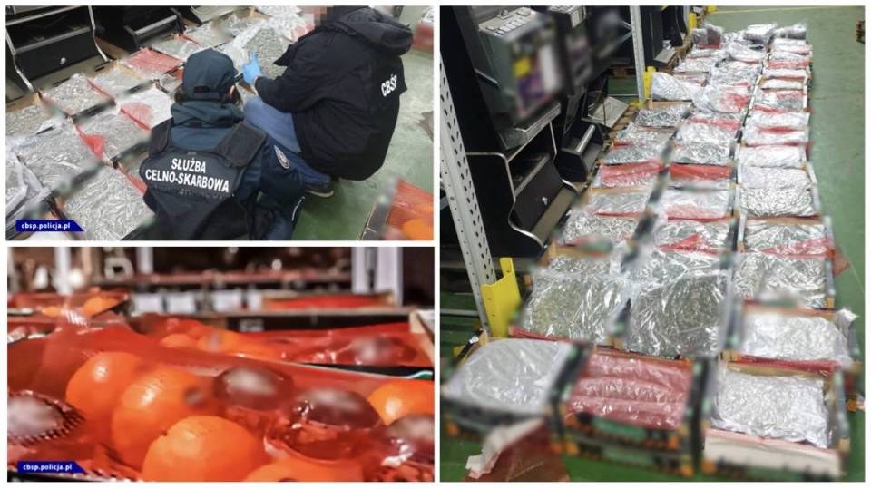 Akcja CBŚP pod Bełchatowem: W transporcie pomarańczy znaleziono ogrom narkotyków wartych miliony!