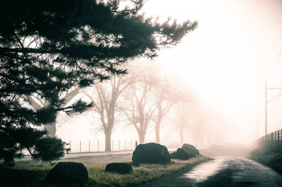 „Uwaga kierowcy! Mgła ograniczy widoczność nawet poniżej 200 metrów - utrudnienia na wielu drogach